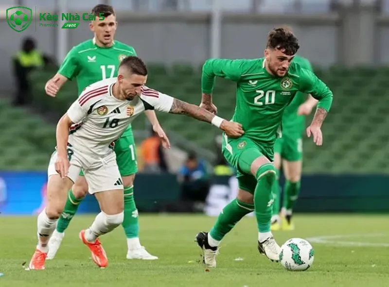 Soi kèo Bắc Ireland vs Hungary ngày 29/09
